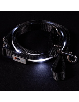 Blazin Safety LED Dog Lead - Small Black 4ft