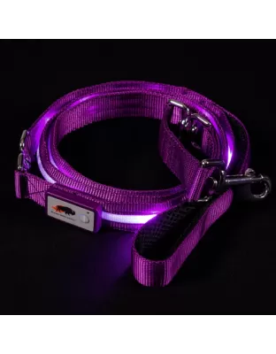 Blazin Safety LED Dog Lead - Small purple 4ft