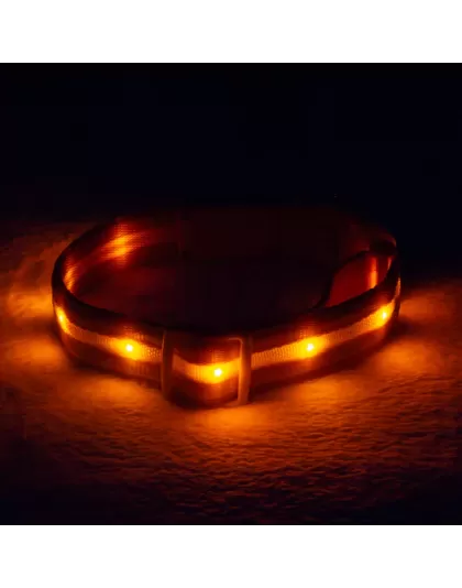 Blazin Safety LED dog Collar - Large orange