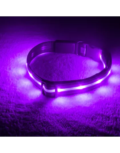 Blazin Safety LED Dog Collar - small Purple